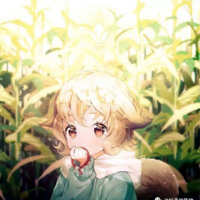 计算机二级